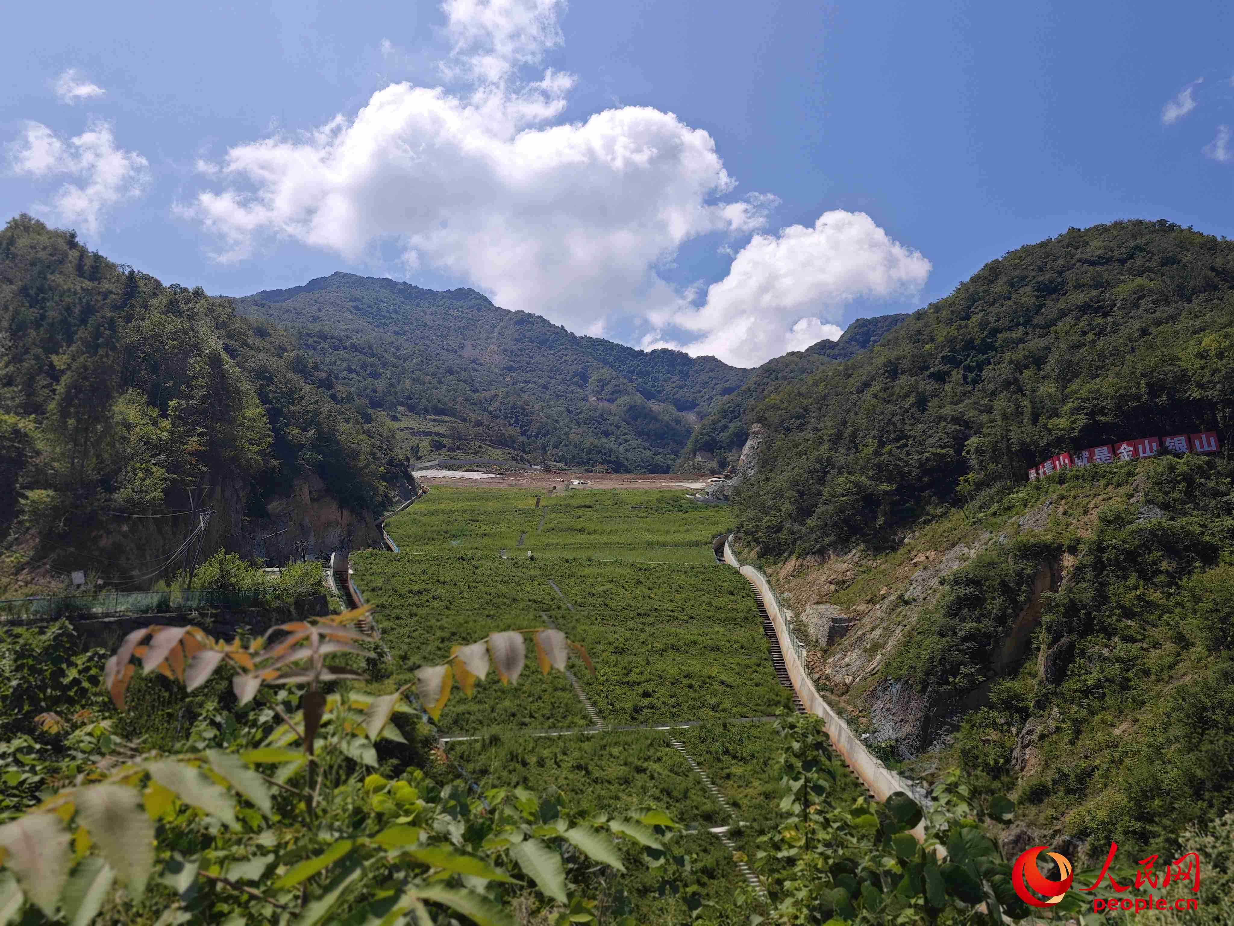 已部分復(fù)綠的貯存場(chǎng)。人民網(wǎng)記者 黃鈺攝