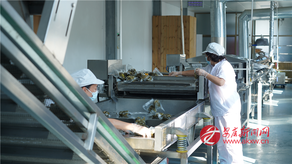 (圖為紫陽(yáng)縣煥古鎮(zhèn)大連村撩酸菜清潔化加工生產(chǎn)車間)